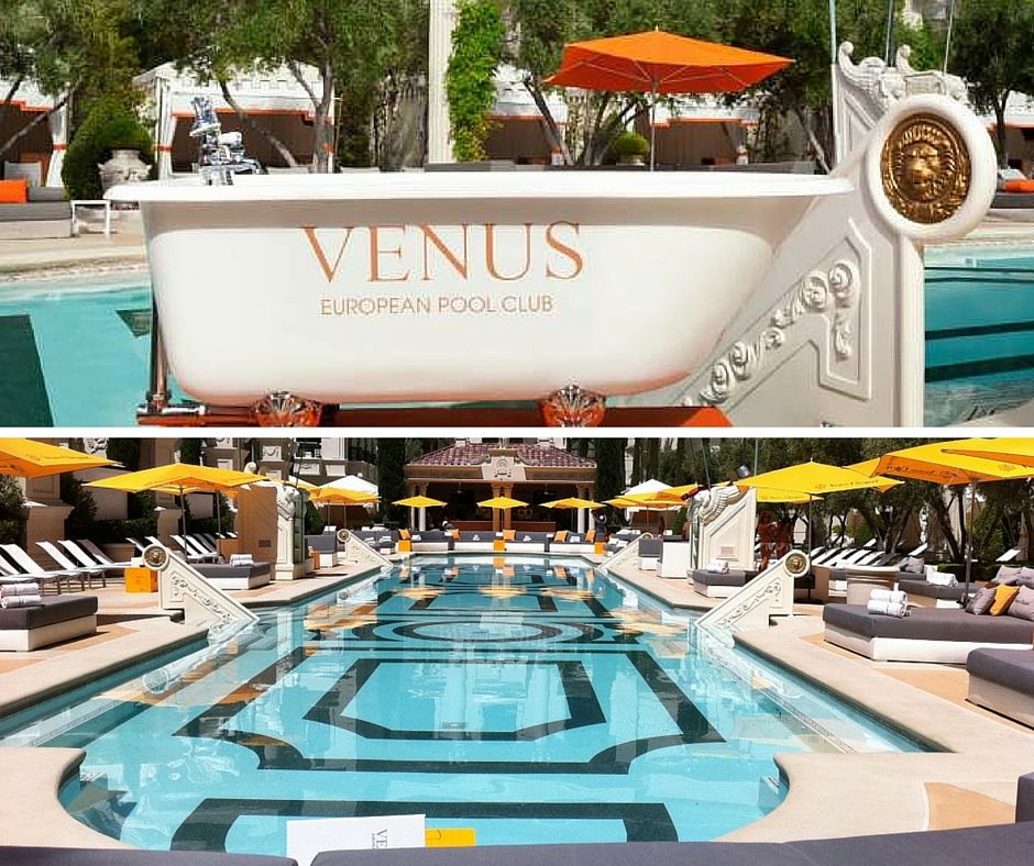 Venus Pool Lounge