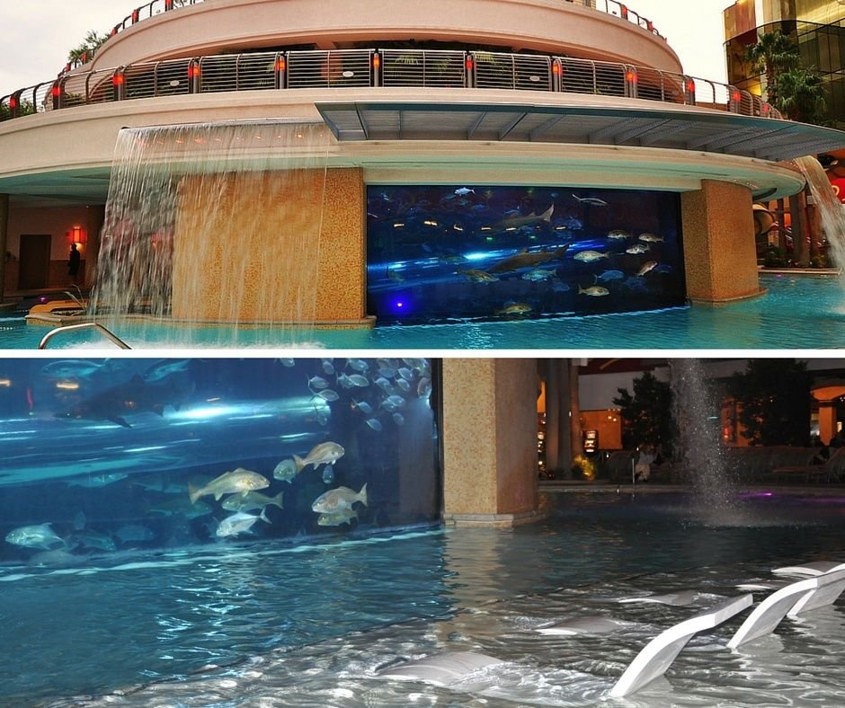 Golden Nugget Tank Shark Pool Las Vegas
