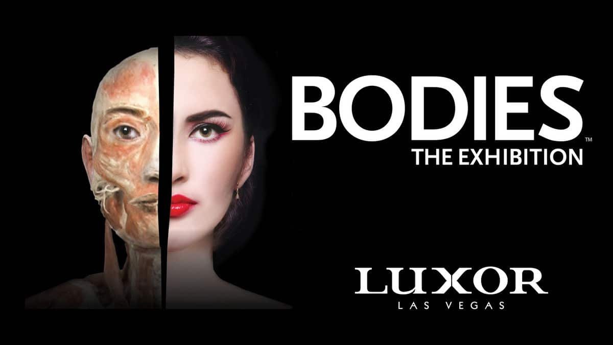 bodies the exhibition discount luxor las vegas