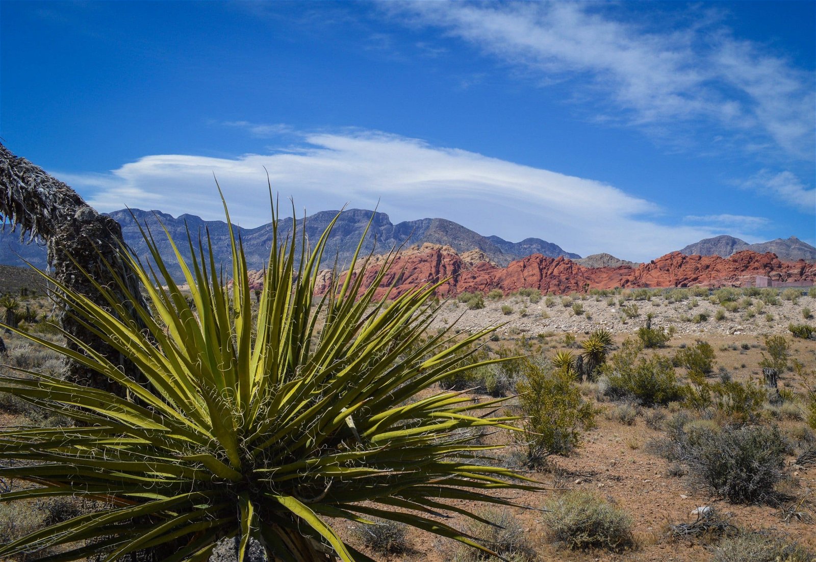 red rock canyon just outside of Las Vegas has a scenic road so you can sightsee from your car