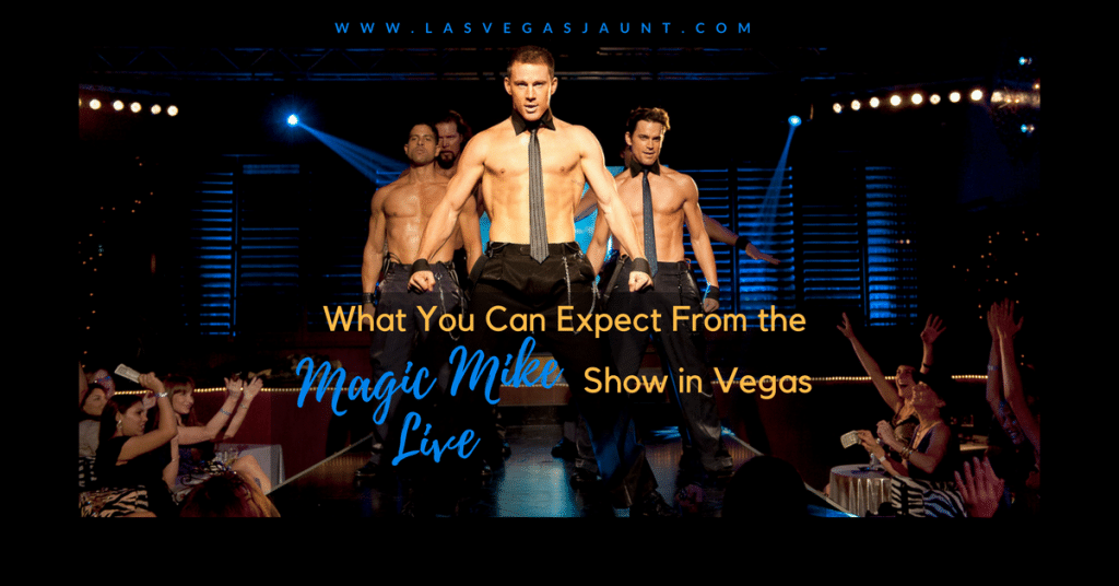 What You Can Expect From the Magic Mike Live Show in Vegas