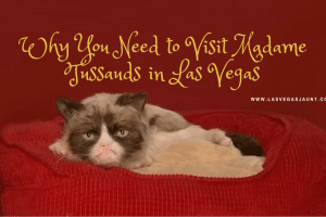 Madame Tussauds Las Vegas Grumpy Cat