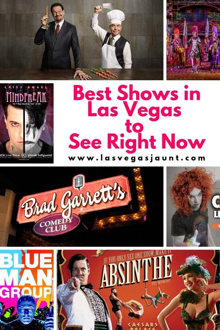 Best Shows in Las Vegas to See Right Now
