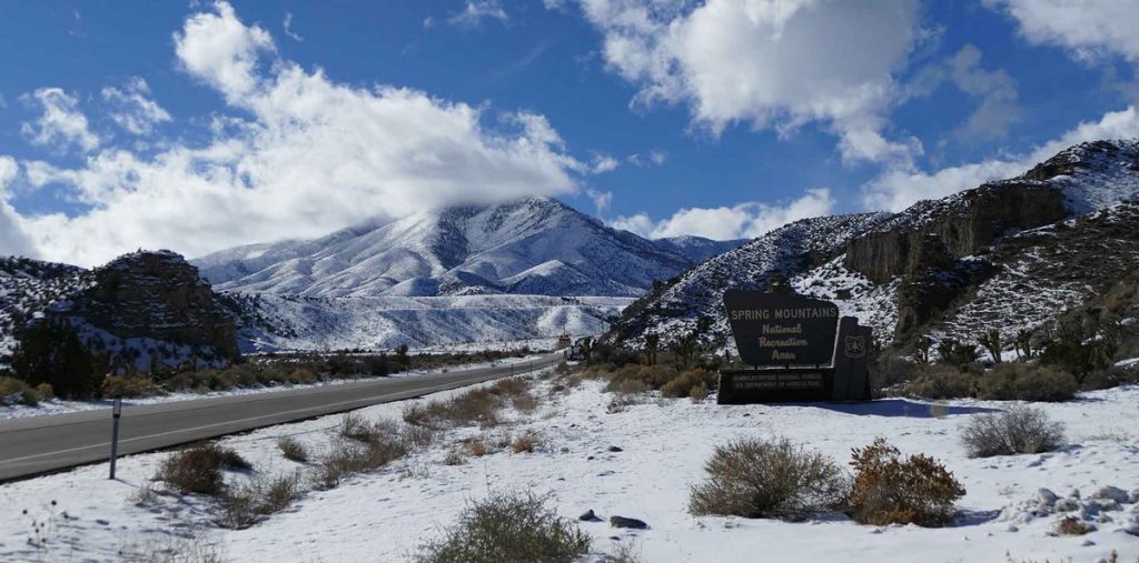 Spring Mountains National Recreation Area