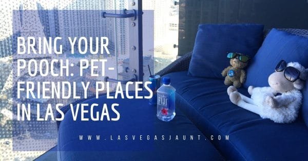 Pet-Friendly Places in Las Vegas