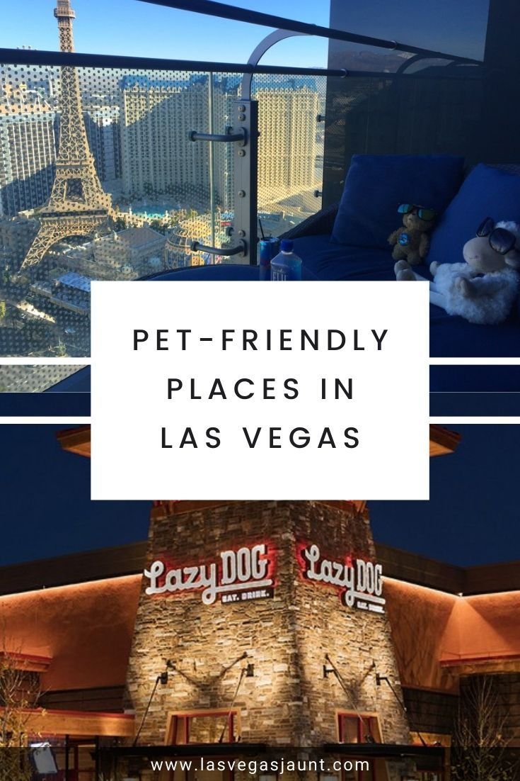 Pet-Friendly Places in Las Vegas