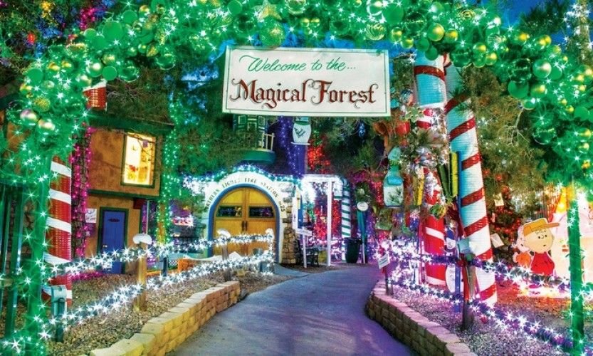 Opportunity Village Magical Forest Las Vegas
