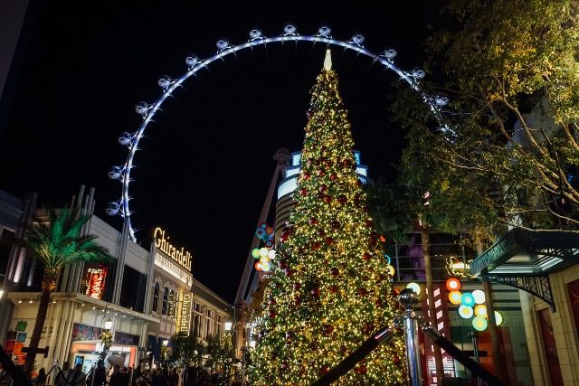 The Best Christmas decorations on the Strip at Bellagio Las Vegas I Happy  Holidays 2021 