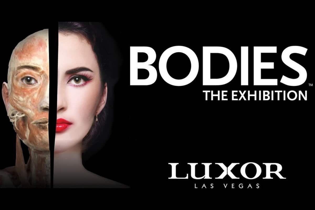 Bodies The Exhibition Luxor Las Vegas Discount