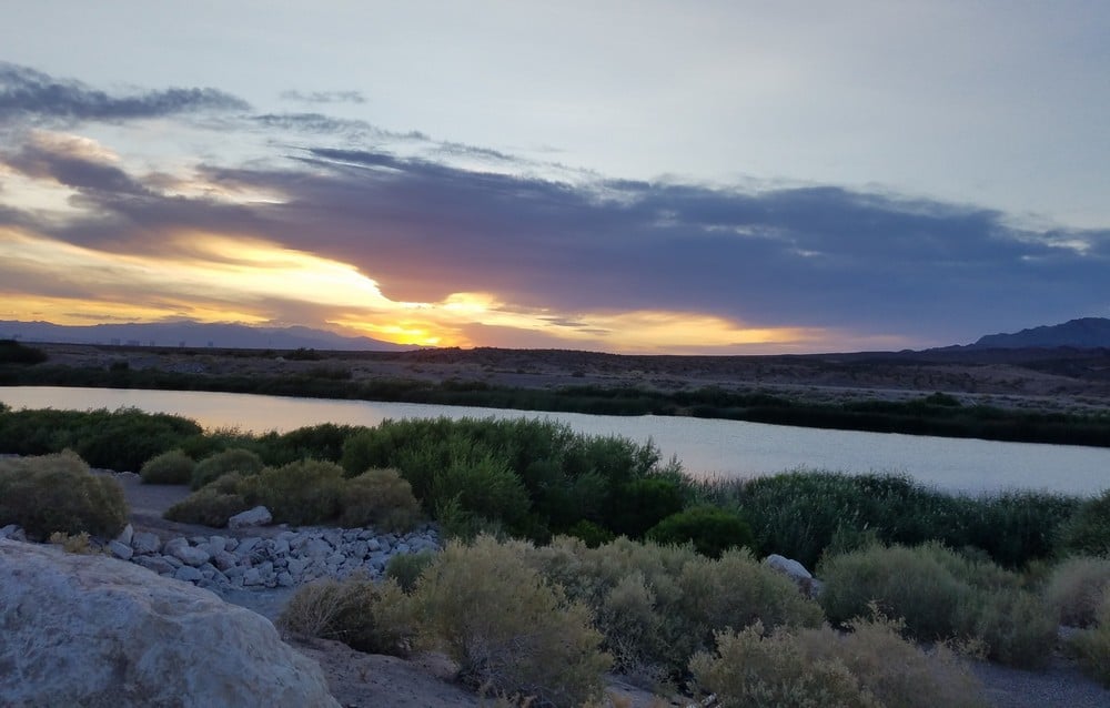 Clark County Wetlands Park Las Vegas