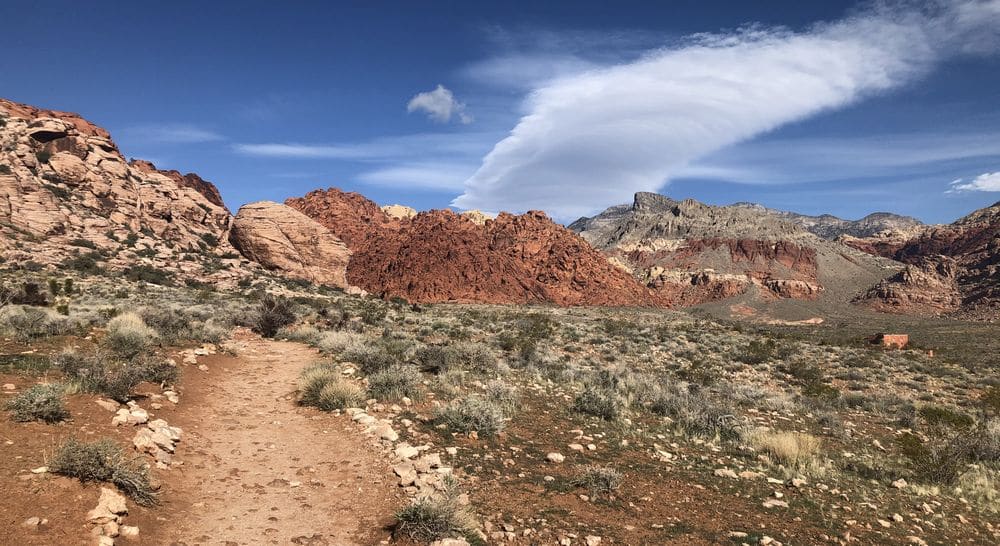 Calico Basin Red Rock Canyon Las Vegas