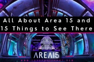 All About Area 15 and 15 Things to See There