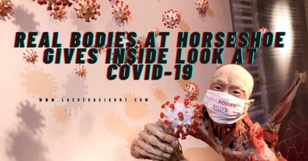 Real Bodies at Horseshoe Gives Inside Look at COVID-19