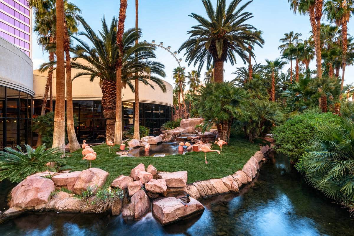 Flamingo Wildlife Habitat at Flamingo Las Vegas