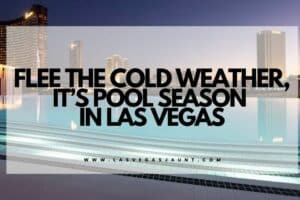 Flee the Cold Weather, It’s Pool Season in Las Vegas