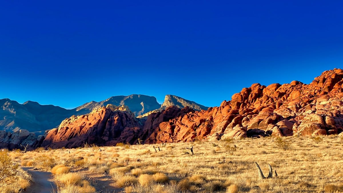 Best Day Trips From Las Vegas: Exploring Nature's Wonders