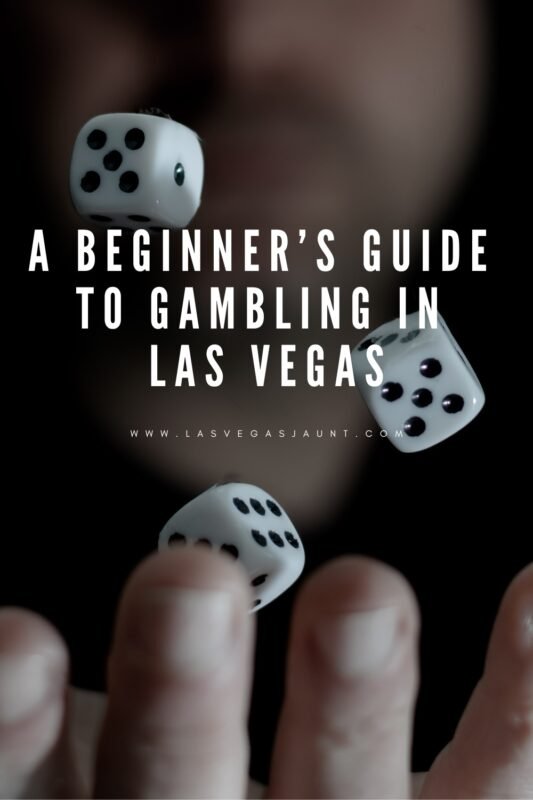 A Beginner’s Guide to Gambling in Las Vegas