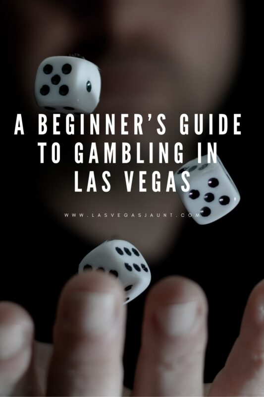 A Beginner's guide to Gambling in Las Vegas